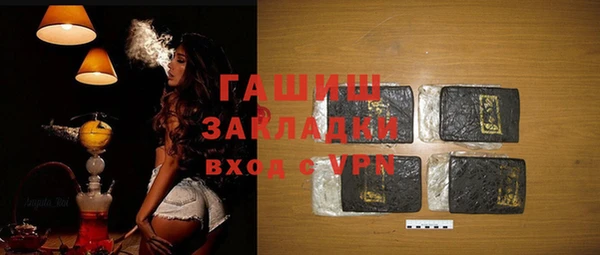 спиды Богородицк