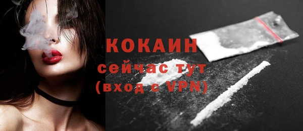 спиды Богородицк