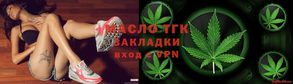 спиды Богородицк