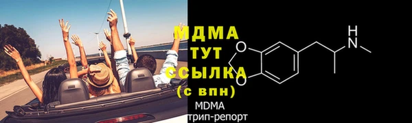 прущие грибы Балабаново