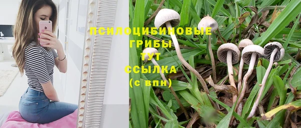 трава Богданович