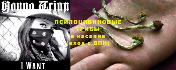 спиды Богородицк