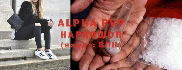 прущие грибы Балабаново