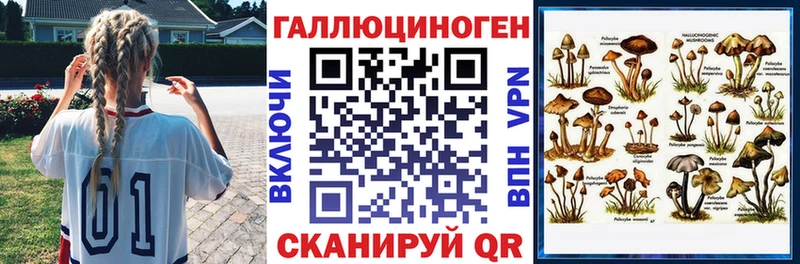 Псилоцибиновые грибы Psilocybe  где купить наркоту  Власиха 